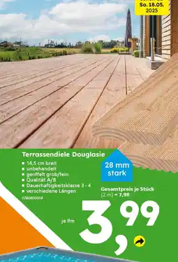 Globus Baumarkt Terrassendiele Douglasie Angebot