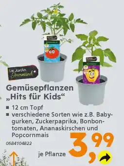 Globus Baumarkt Gemüsepflanzen ,Hits für Kids" Angebot