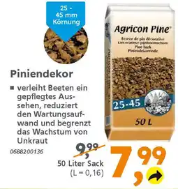 Globus Baumarkt agrícon Piniendekor Angebot