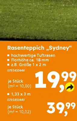 Globus Baumarkt Rasenteppich „Sydney" Angebot