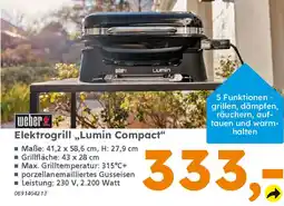 Globus Baumarkt weber Elektrogrill „Lumin Compact" Angebot