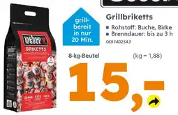 Globus Baumarkt weber Grillbriketts Angebot