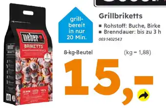 Globus Baumarkt weber Grillbriketts Angebot