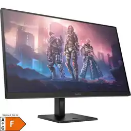 Netto Marken-Discount HP Gaming-Monitor 32q Angebot