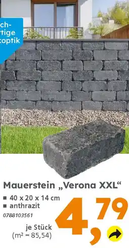 Globus Baumarkt Mauerstein,,Verona XXL" Angebot