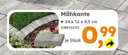 Globus Baumarkt Mähkante Angebot