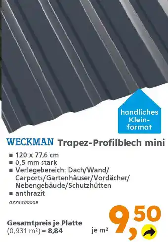 Globus Baumarkt WECKMAN Trapez-Profilblech mini Angebot