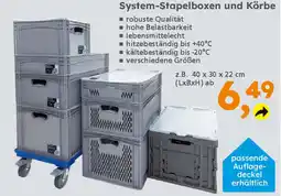 Globus Baumarkt System-Stapelboxen und Körbe Angebot