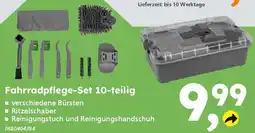 Globus Baumarkt Fahrradpflege-Set 10-teilig Angebot