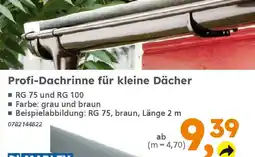 Globus Baumarkt Profi-Dachrinne für kleine Dächer Angebot