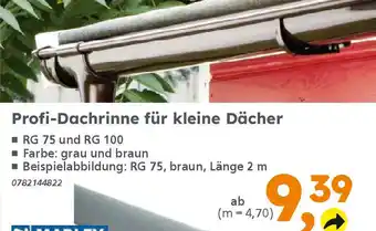 Globus Baumarkt Profi-Dachrinne für kleine Dächer Angebot
