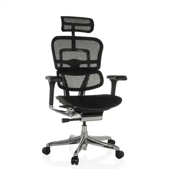 Netto Marken-Discount hjh OFFICE Luxus Chefsessel ERGOHUMAN GEN2 Stoff/Netzstoff mit Armlehnen (höhenverstellbar) Angebot