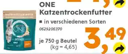 Globus Baumarkt ONE Katzentrockenfutter Angebot