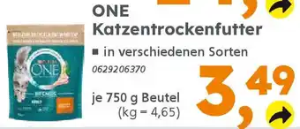 Globus Baumarkt ONE Katzentrockenfutter Angebot