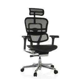 Netto Marken-Discount hjh OFFICE Luxus Chefsessel ERGOHUMAN GEN2 Leder/Netzstoff mit Armlehnen (höhenverstellbar) Angebot