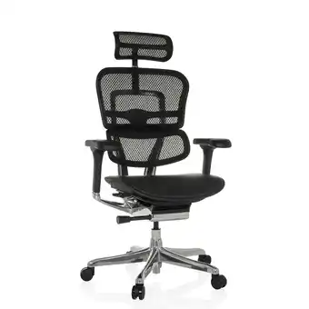 Netto Marken-Discount hjh OFFICE Luxus Chefsessel ERGOHUMAN GEN2 Leder/Netzstoff mit Armlehnen (höhenverstellbar) Angebot