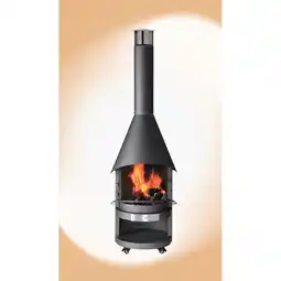 Netto Marken-Discount asado Gartenkamin Fuego EL 70cm Ø Edelstahl schwarz lackiert Angebot