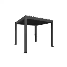 toom Baumarkt Biohort Pergola Gr. 3 x 3 dunkelgrau 312 x 312 cm Angebot