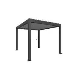 toom Baumarkt Biohort Pergola Gr. 3 x 3,5 dunkelgrau 312 x 367,5 cm Angebot