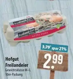 Famila Nord Ost Hofgut Freilandeier Angebot