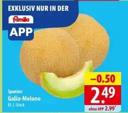 Famila Nord Ost Galia-melone Angebot