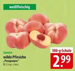 Famila Nord Ost Wilde Pfirsiche 'Paraguayos' Angebot