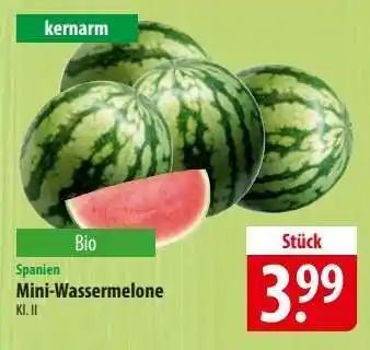 Famila Nord Ost Mini- Wassermelone Angebot