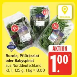 Edeka Rucola, Pflücksalat oder Babyspinat Angebot