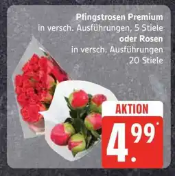 Edeka Pfingstrosen Premium oder Rosen Angebot