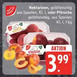 Edeka Nektarinen oder Pfirsiche Angebot