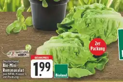Edeka Bio Mini Romanasalat Angebot