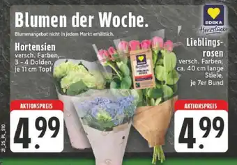 Edeka Blumen der Woche Angebot