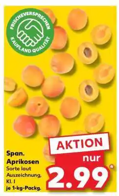 Kaufland Span. Aprikosen Angebot