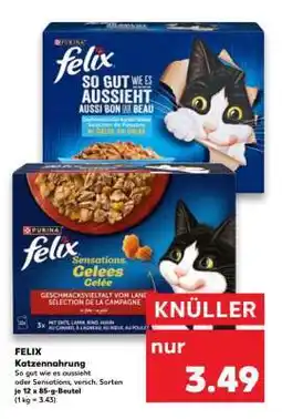 Kaufland felix Katzennahrung Angebot