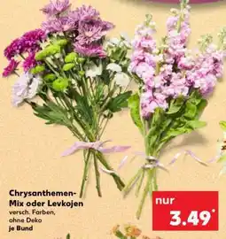 Kaufland Chrysanthemen-Mix oder Levkojen Angebot