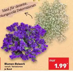 Kaufland Blumen-Beiwerk Angebot