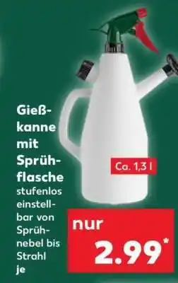 Kaufland Gießkanne mit Sprühflasche Angebot
