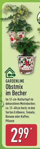 Aldi Nord GARDENLINE Obstmix im Becher Angebot