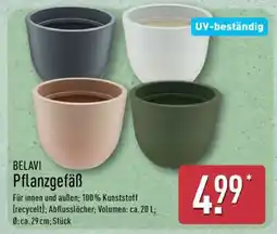 Aldi Nord BELAVI Pflanzgefäß Angebot