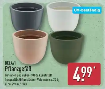 Aldi Nord BELAVI Pflanzgefäß Angebot