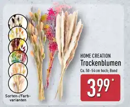 Aldi Nord HOME CREATION Trockenblumen Angebot