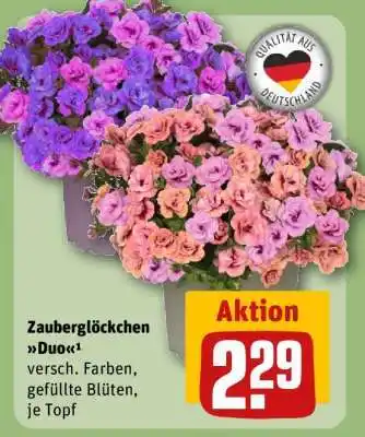 REWE Zauberglöckchen Duo Angebot