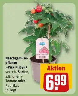 REWE Naschgemüsepflanze Pick N Joy Angebot