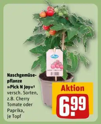 REWE Naschgemüsepflanze Pick N Joy Angebot