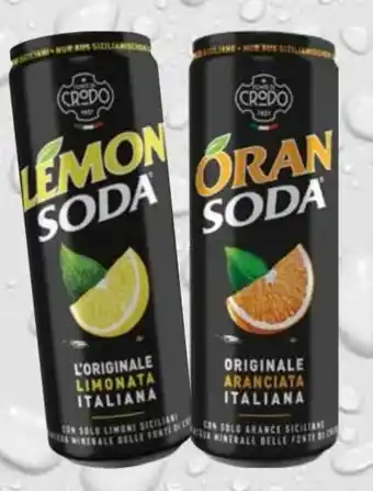 trinkgut Terme di Crodo Lemon Soda Angebot