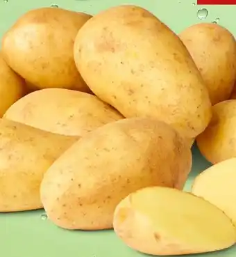 PENNY Marktliebe Spargelkartoffeln Angebot