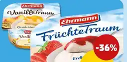 PENNY Ehrmann Früchte-Vanilletraum Angebot