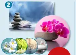 PENNY Home Ideas Living Badteppich Angebot