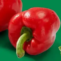 Lidl Rote Paprika Angebot