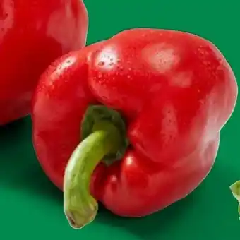 Lidl Rote Paprika Angebot
